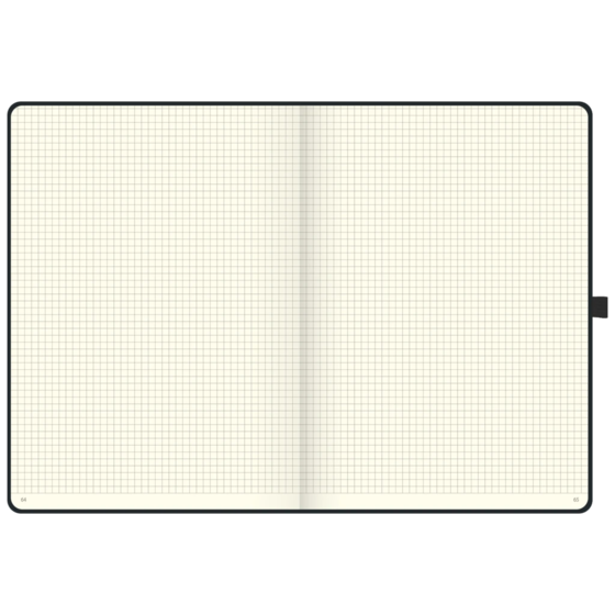 Notizbuch Kompagnon Individual A4 kariert