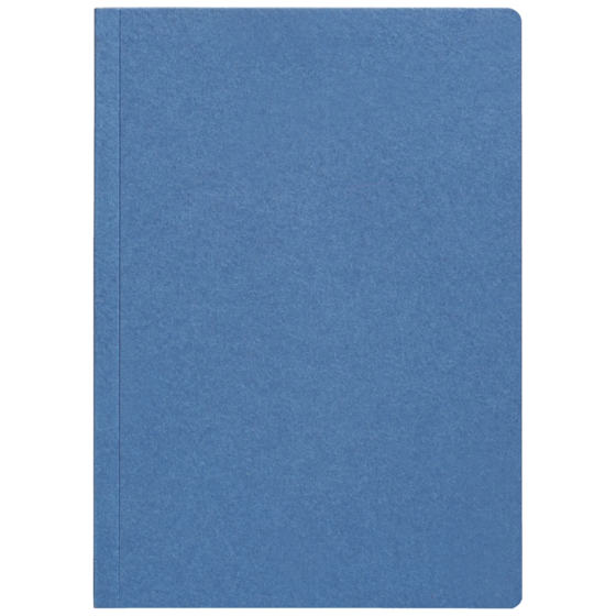 Notizbuch Earth Recycling A5+ kariert Recyclingkarton blau (Lagerware)